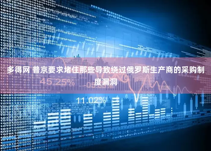 多得网 普京要求堵住那些导致绕过俄罗斯生产商的采购制度漏洞
