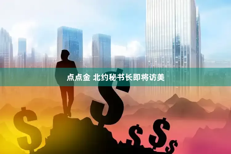 点点金 北约秘书长即将访美