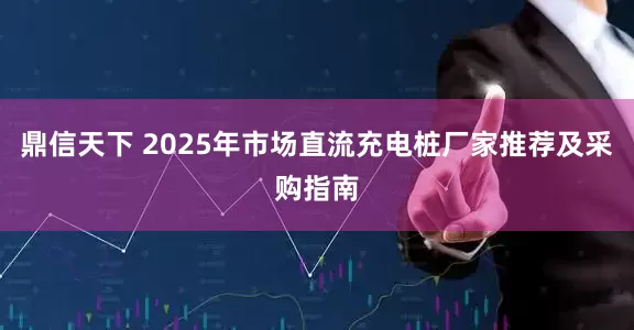 鼎信天下 2025年市场直流充电桩厂家推荐及采购指南