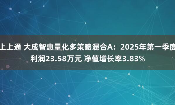 上上通 大成智惠量化多策略混合A：2025年第一季度利润23.58万元 净值增长率3.83%